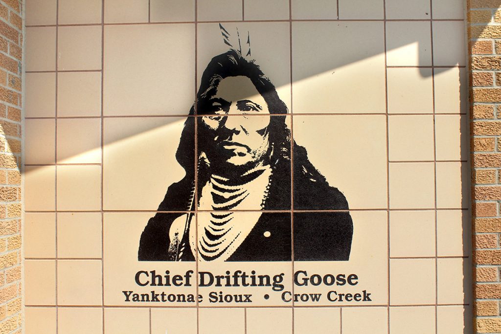 14f. Chief Drifting Goose
