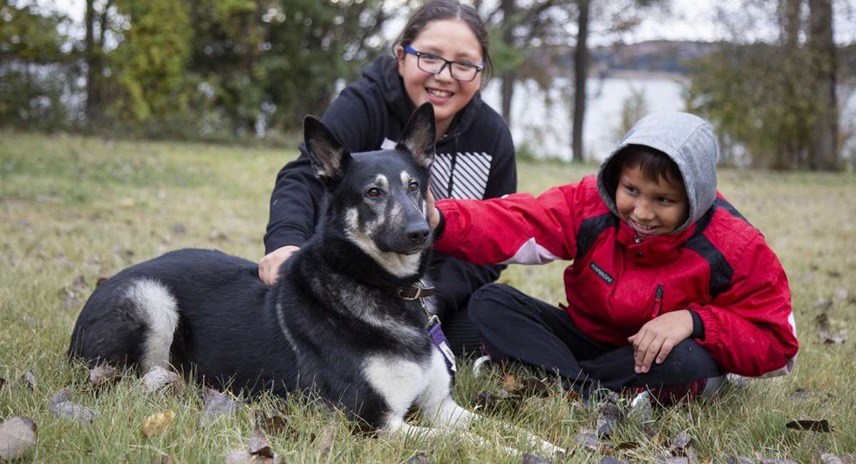 Pet Program dogs