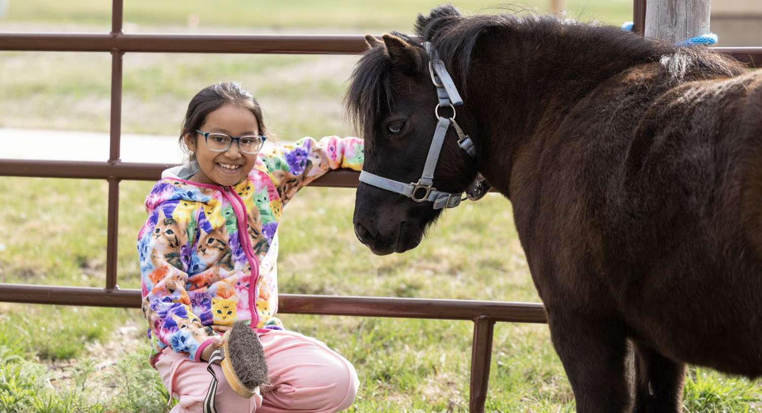 young horse therapy